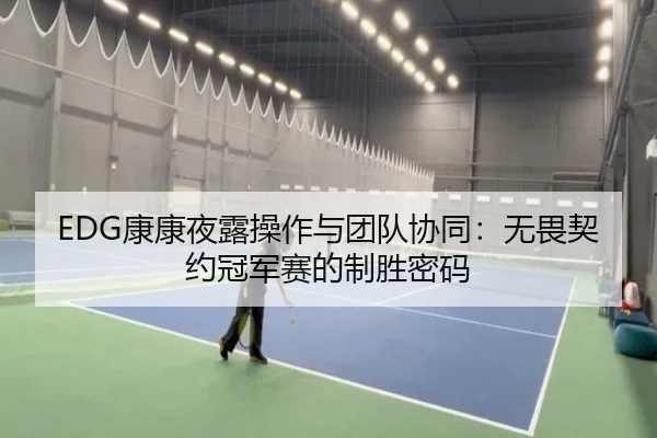 EDG康康夜露操作与团队协同：无畏契约冠军赛的制胜密码